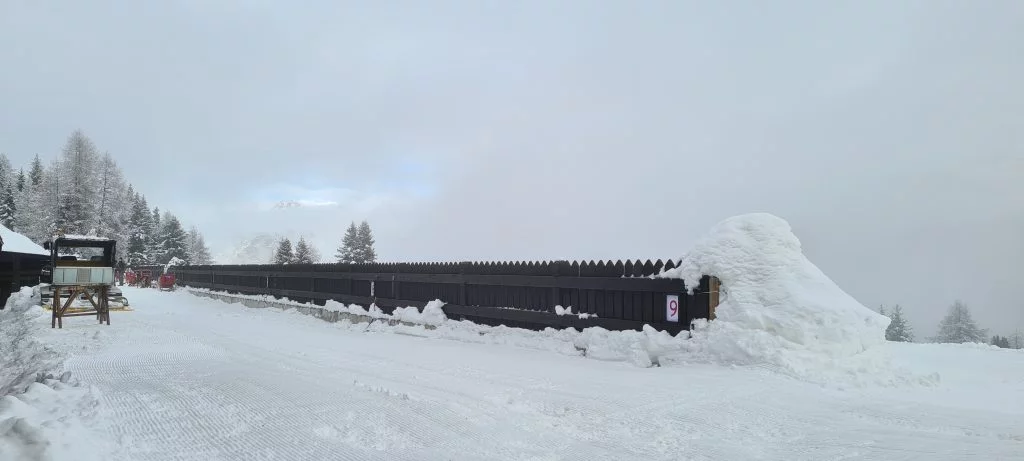 Husky Village Sleddog