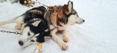 Cosa fare a Livigno in inverno: non solo sci!