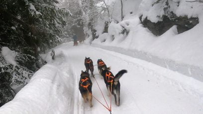 Sleddog Husky Village: trasportati nella favola di Balto