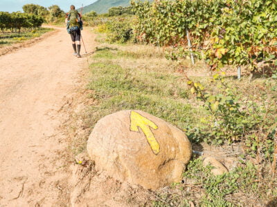 Cammino di Santiago: quello che nessuno ti dice