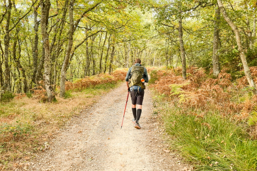 bastoni da trekking cammino di Santiago