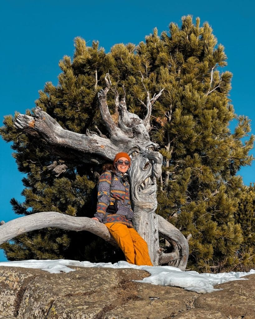 Streghe dello sciliar